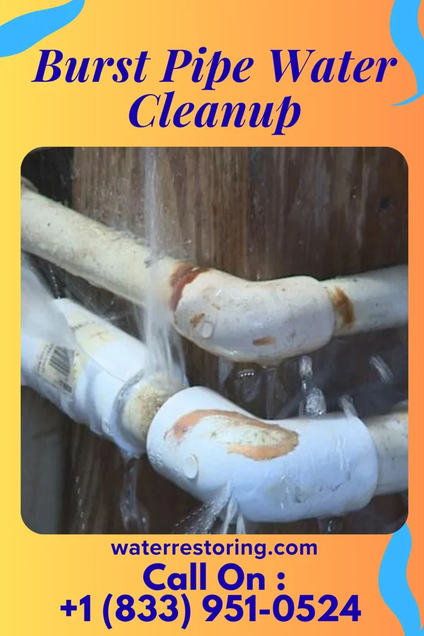 Burst Pipe Water Cleanup in Holt, MN
