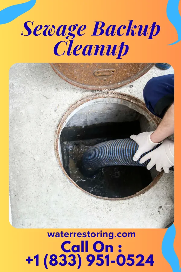 Sewage Backup Cleanup in Holt, MN