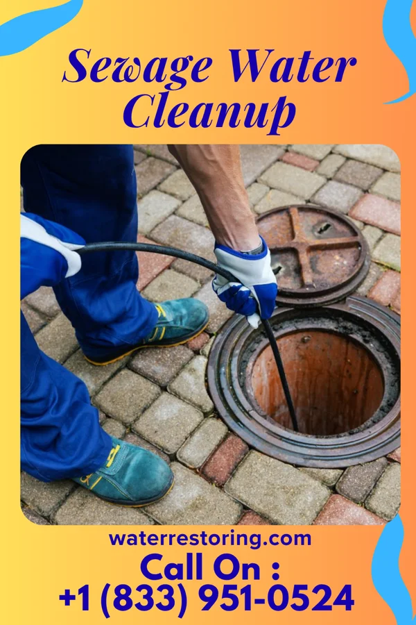 Sewage Water Cleanup in Holt, MN