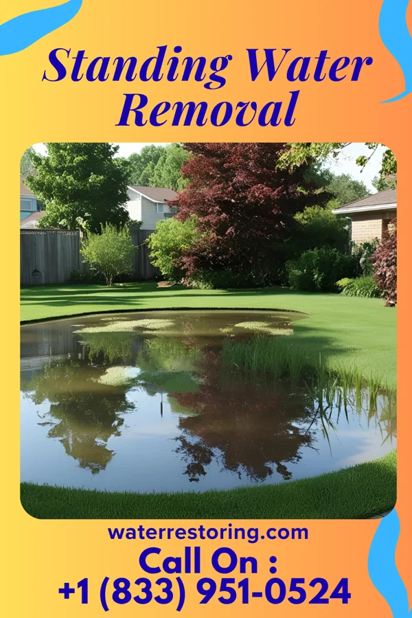 Standing Water Removal in Holt, MN